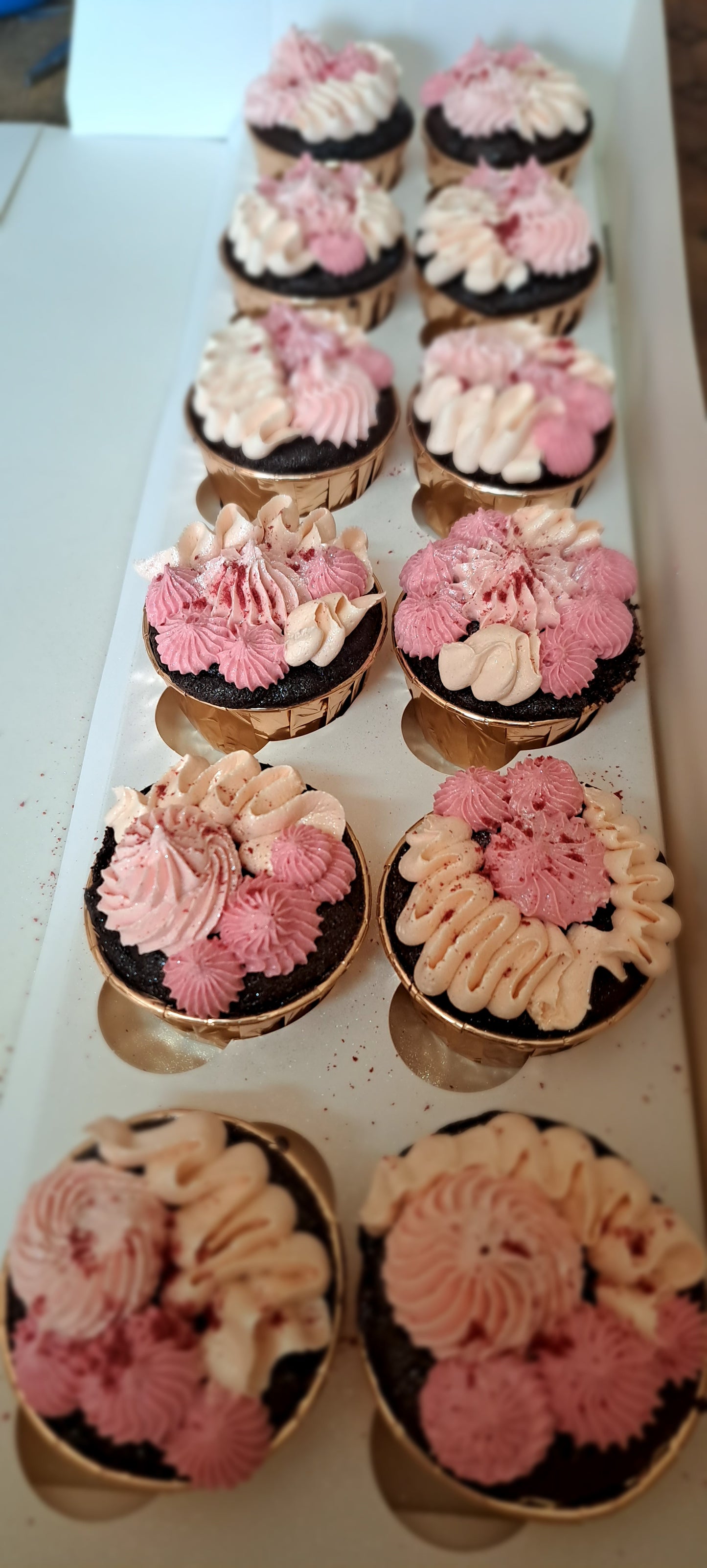 Premium Cupcakes